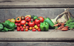 Farm Garden Summer Produce Vegetables