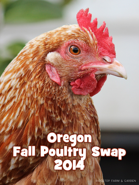 Fall Poultry Swap title sized