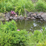 Bird Village Pond