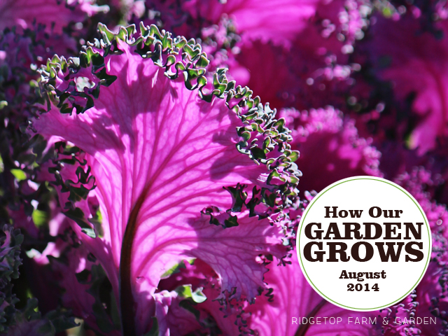 Garden Grows Aug2014 title