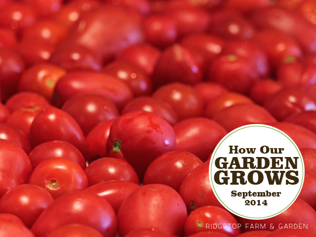 Garden Grows Sept2014 title