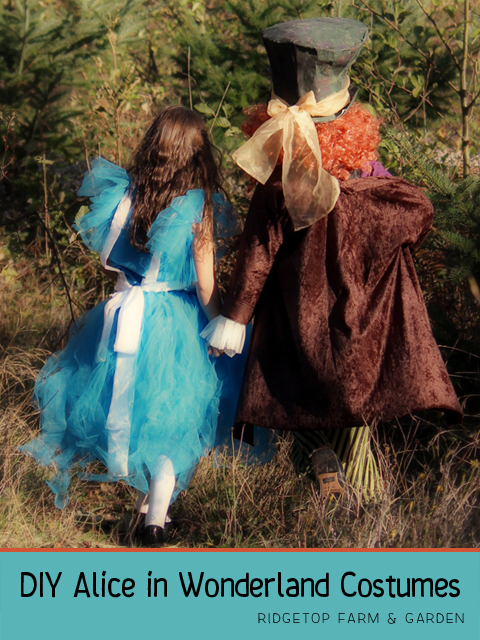 Alice in Wonderland costume title