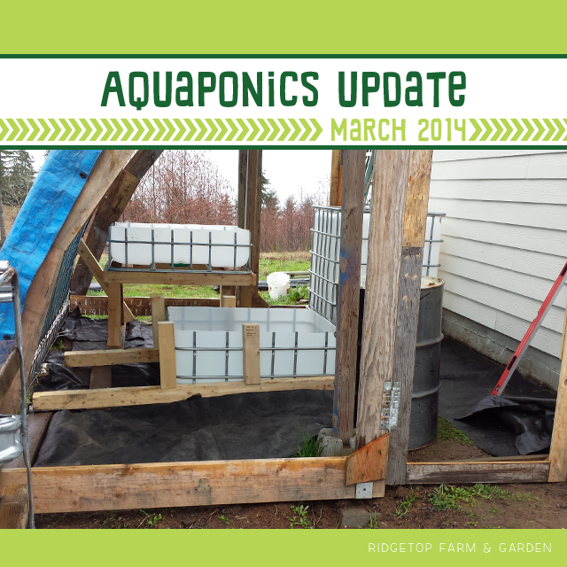Aquaponics Update Mar2014 title