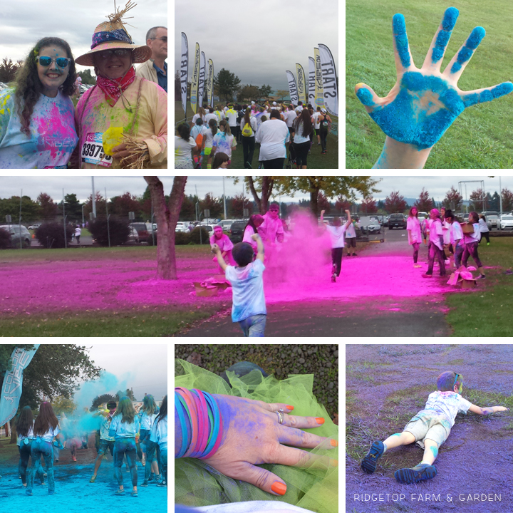 Color Vibe Oct2014 1