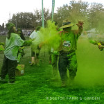 2014 Race Recap – Color Vibe 5K