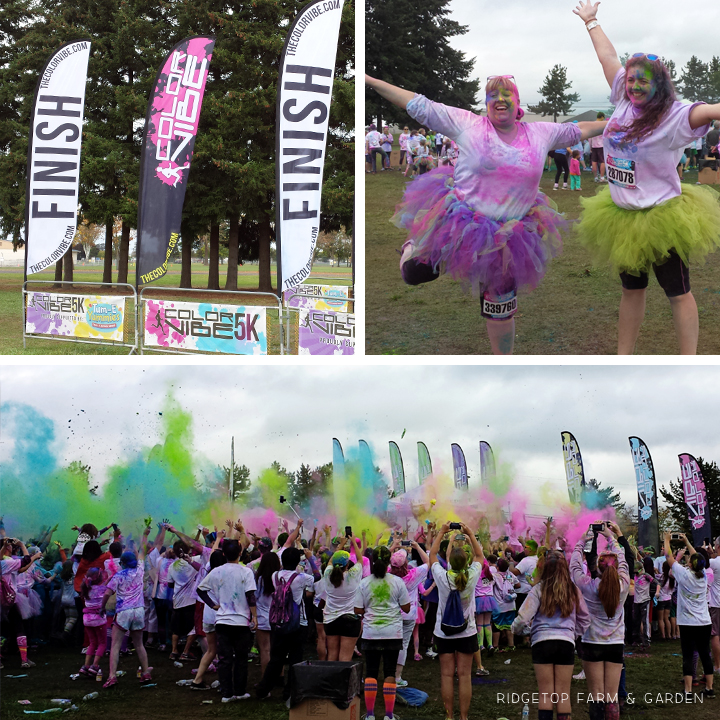 Color Vibe Oct2014 finish