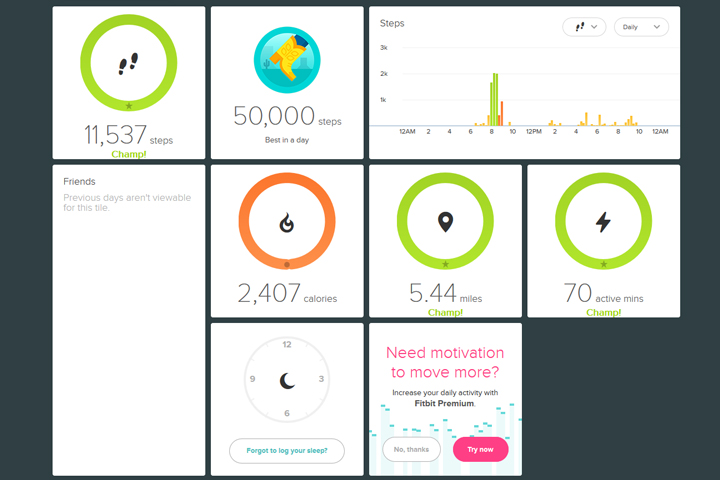 FitBit Charge HR dashboard