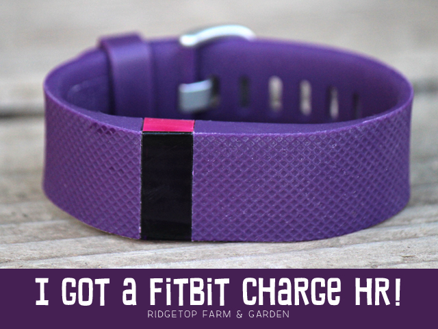 FitBit Charge HR title