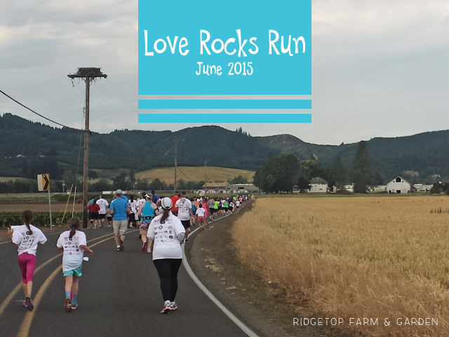 Love Rocks Run title