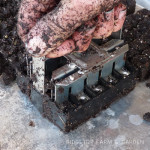 Using Mini Soil Blocks