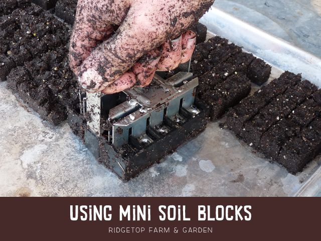 Ridgetop Farm & Garden | Mini Soil Blocks