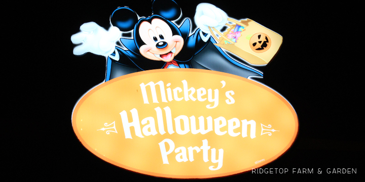 Star Wars costumes Mickey's party