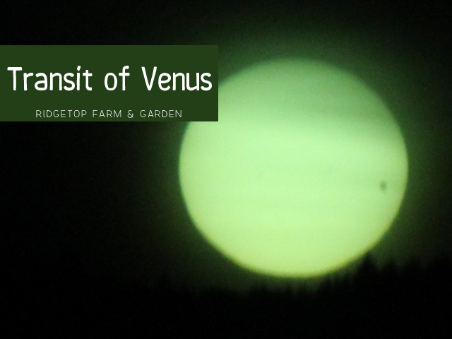 Ridgetop Farm & Garden | Transit of Venus