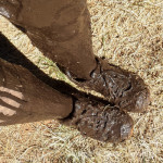 2014 Race Recap – Warrior Dash 5K