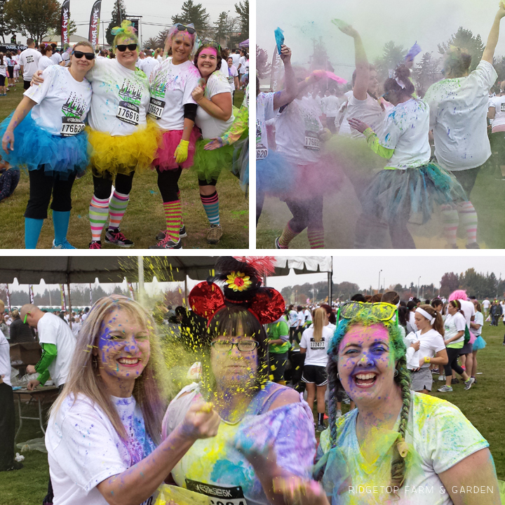 color vibe oct2013 2
