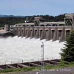 Visiting Bonneville Dam