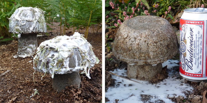 Ridgetop Farm & Garden | Hypertufa Mushrooms