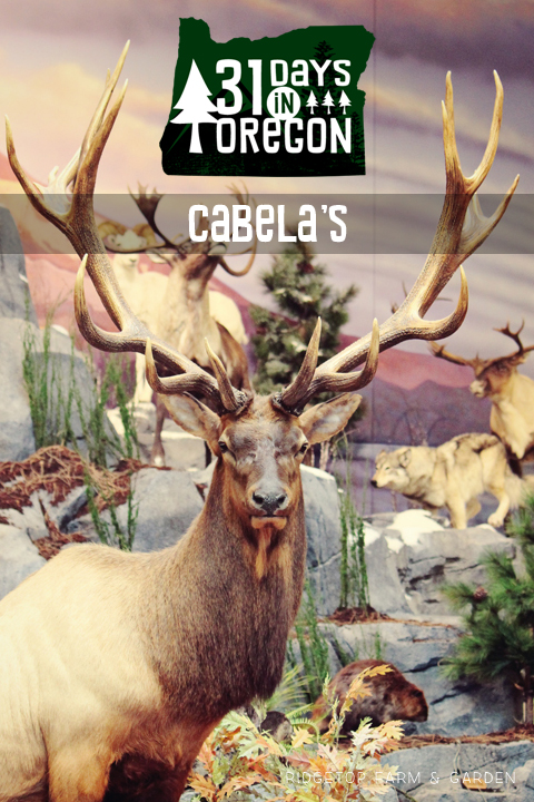 Cabelas - title