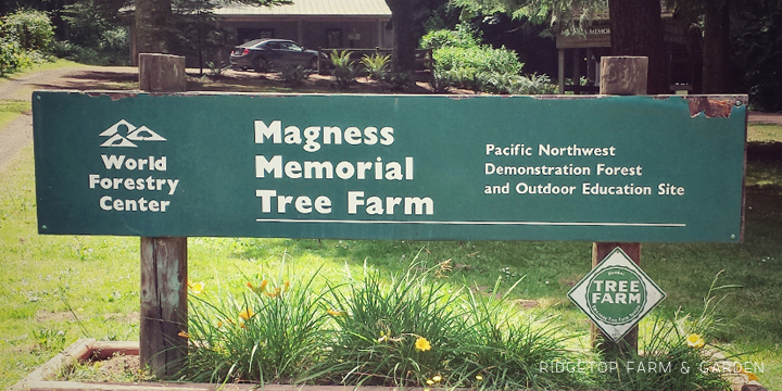 Ridgetop Farm and Garden | Magness Memorial Tree Farm