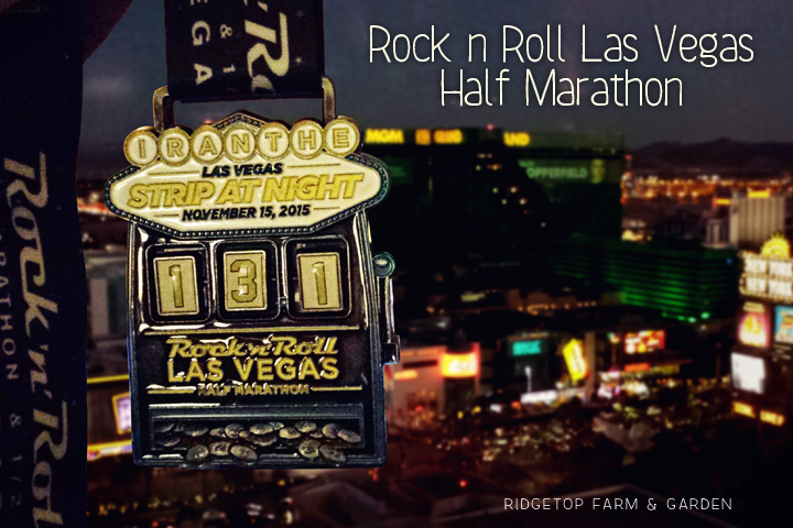 2015 Race Recap | Rock n Roll Las Vegas Half Marathon