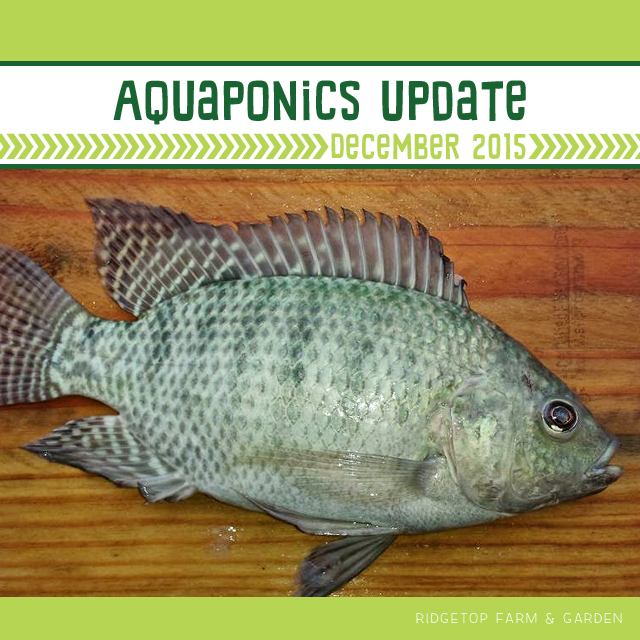 Aquaponics Dec2015 - title