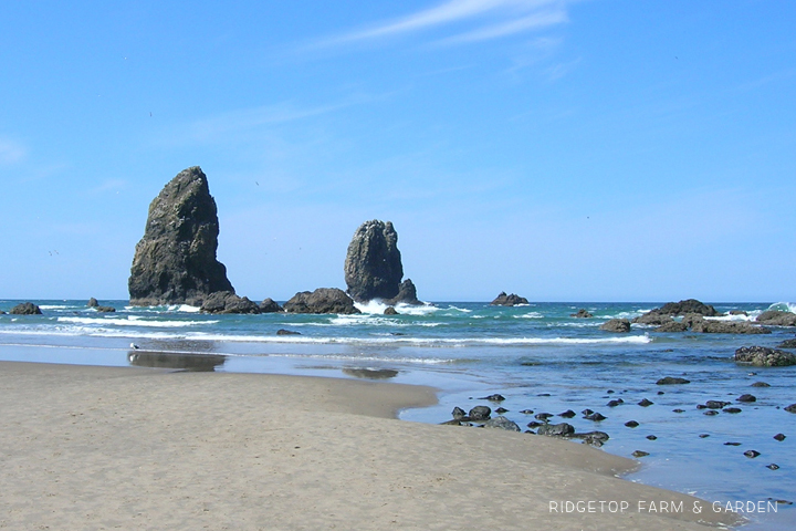 Ridgetop Farm and Garden | 31 Days in Oregon | Cannon Beach