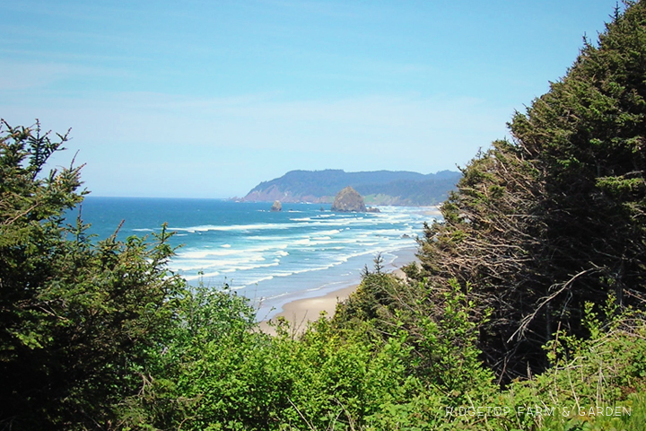 Ridgetop Farm and Garden | 31 Days in Oregon | Cannon Beach