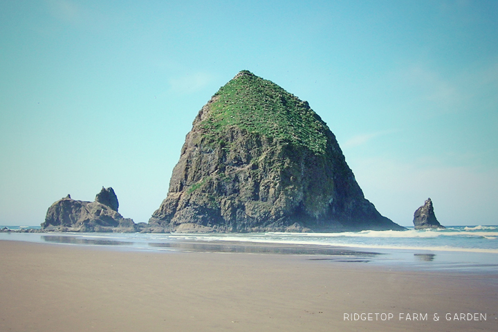 Ridgetop Farm and Garden | 31 Days in Oregon | Cannon Beach