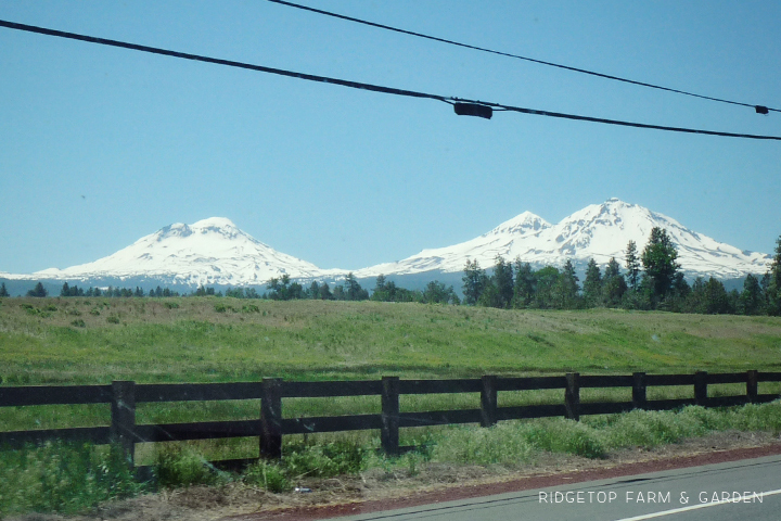 Ridgetop Farm and Garden | 31 Days in Oregon | Central Oregon