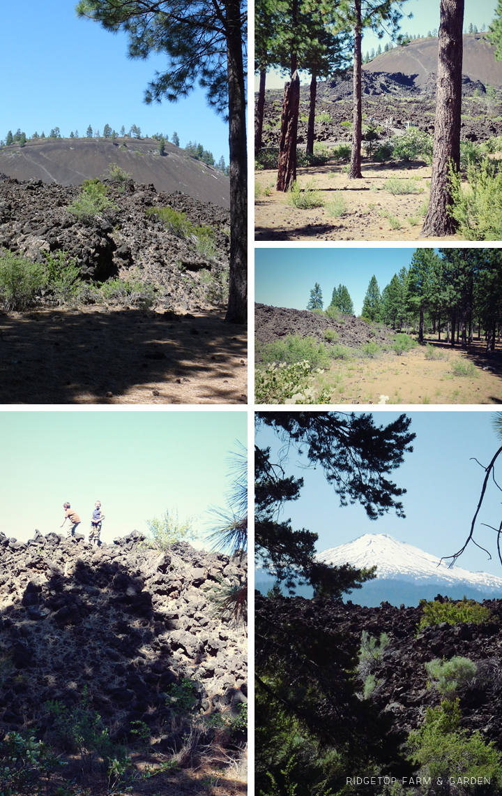 Ridgetop Farm and Garden | 31 Days in Oregon | Newberry National Volcanic Monument