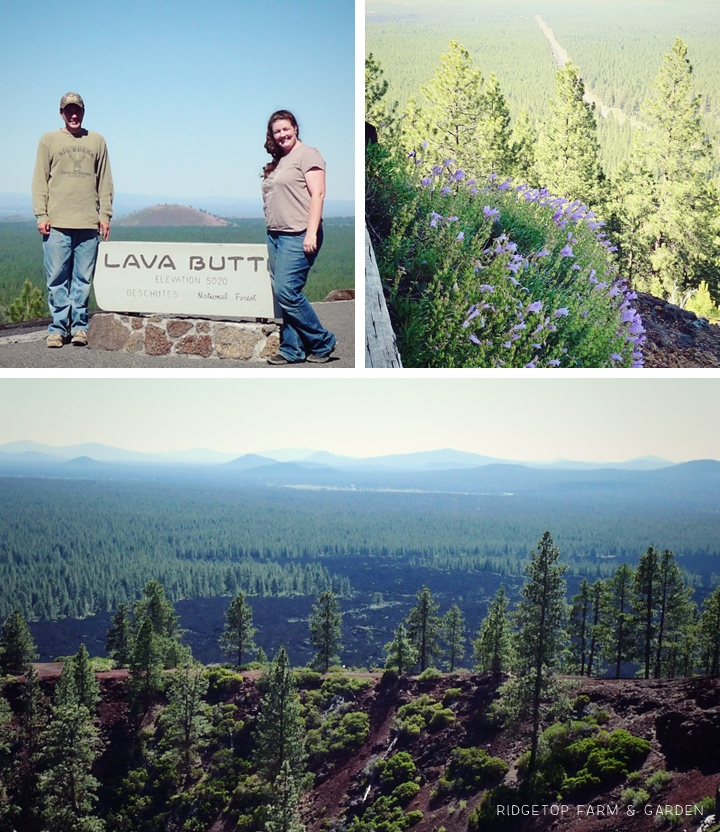 Ridgetop Farm and Garden | 31 Days in Oregon | Newberry National Volcanic Monument
