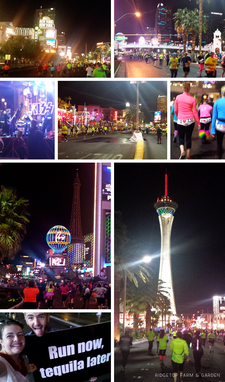 2015 Race Recap | Rock n Roll Las Vegas Half Marathon