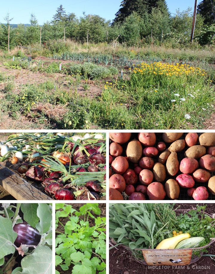Ridgetop Farm and Garden | 2015 Recap