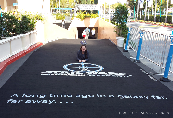 Ridgetop Farm and Garden | Race Recap | Star Wars 5K | Expo | Disneyland