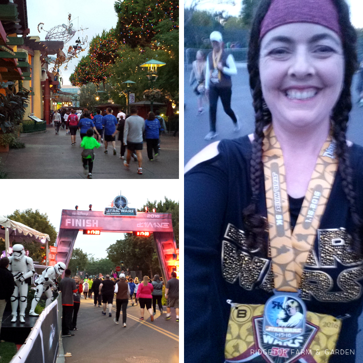 Ridgetop Farm and Garden | Race Recap | Star Wars 5K | Disneyland