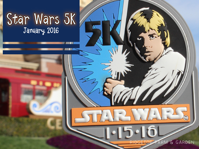 Ridgetop Farm and Garden | Race Recap | Star Wars 5K | Disneyland