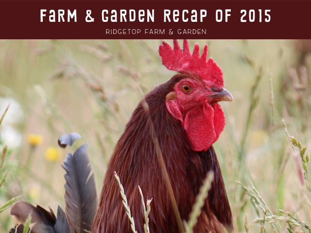 Ridgetop Farm and Garden | 2015 Recap