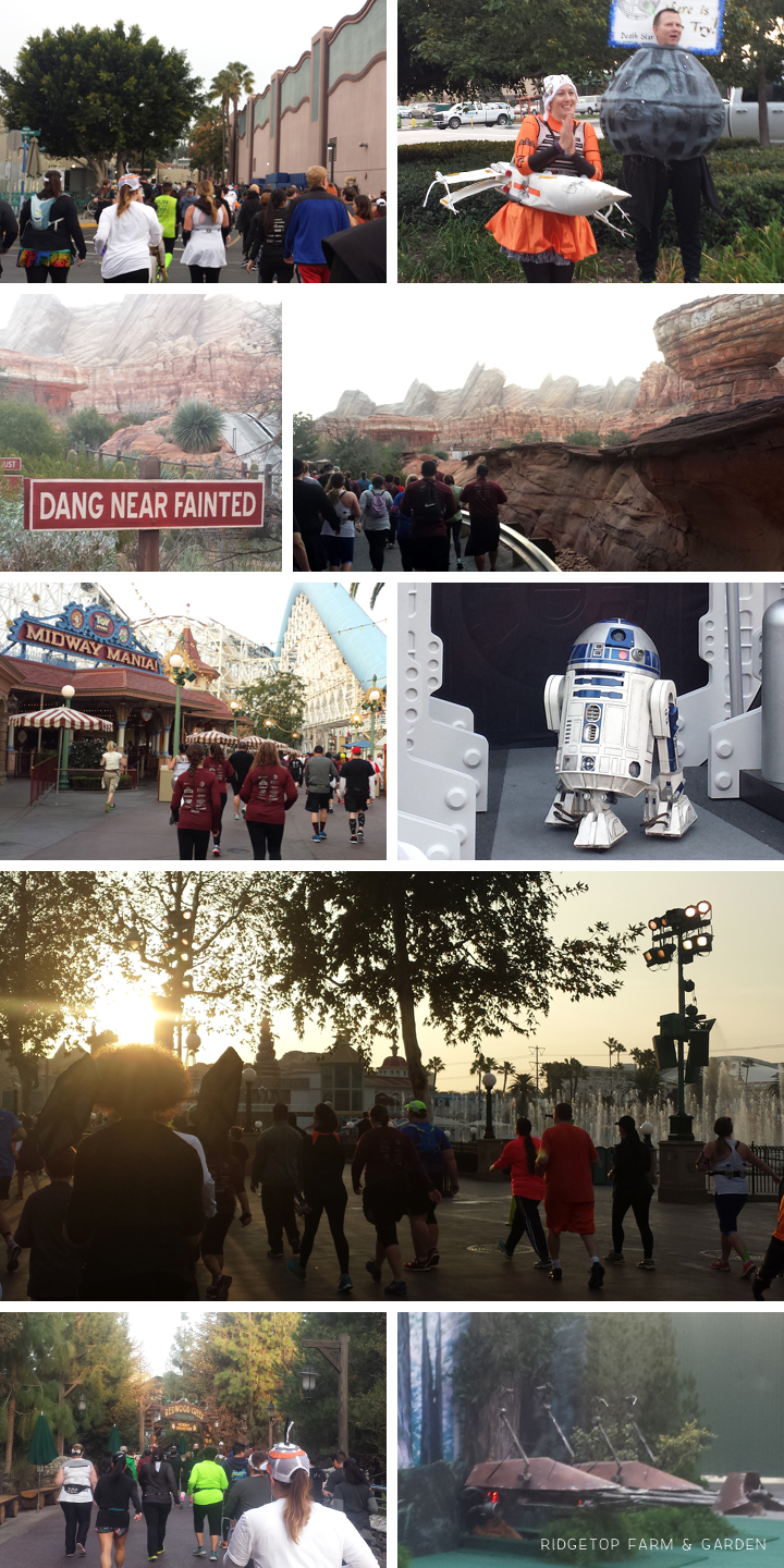 Ridgetop Farm and Garden | Race Recap | Star Wars 10K | Disneyland