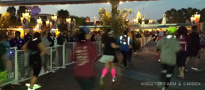 Ridgetop Farm and Garden | Race Recap | Star Wars 10K | Disneyland