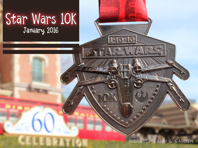 Ridgetop Farm and Garden | Race Recap | Star Wars 10K | Rebel Challenge | Disneyland