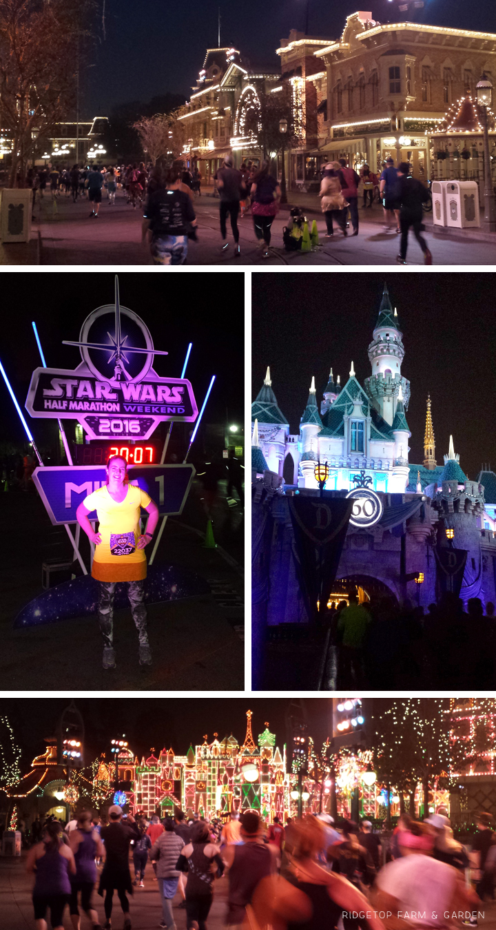 Ridgetop Farm and Garden | Race Recap | Star Wars Half Marathon | Rebel Challenge | Disneyland