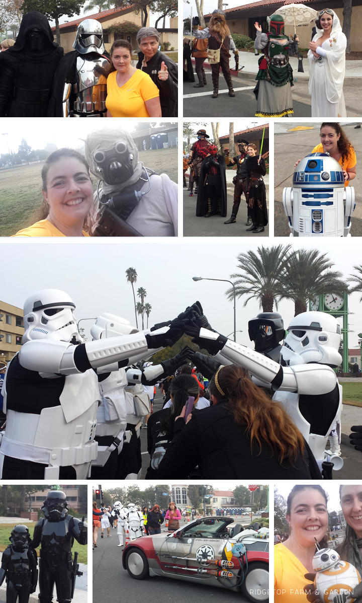 Ridgetop Farm and Garden | Race Recap | Star Wars Half Marathon | Rebel Challenge | Disneyland