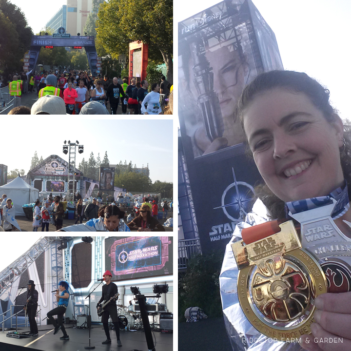 Ridgetop Farm and Garden | Race Recap | Star Wars Half Marathon | Rebel Challenge | Disneyland