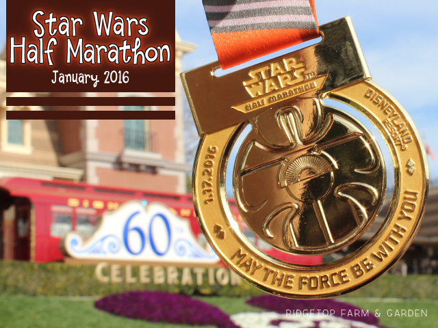 Ridgetop Farm and Garden | Race Recap | Star Wars Half Marathon | Rebel Challenge | Disneyland