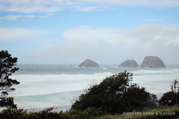 Ridgetop Farm and Garden | 31 Days in Oregon | Three Capes Scenic Route