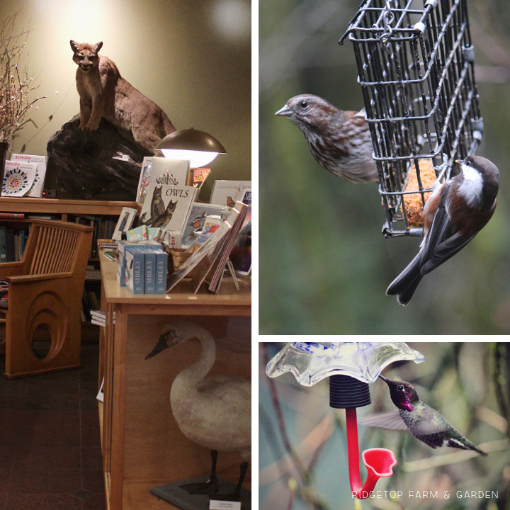 Ridgetop Farm and Garden | 31 Days in Oregon | Audubon Society | Portland