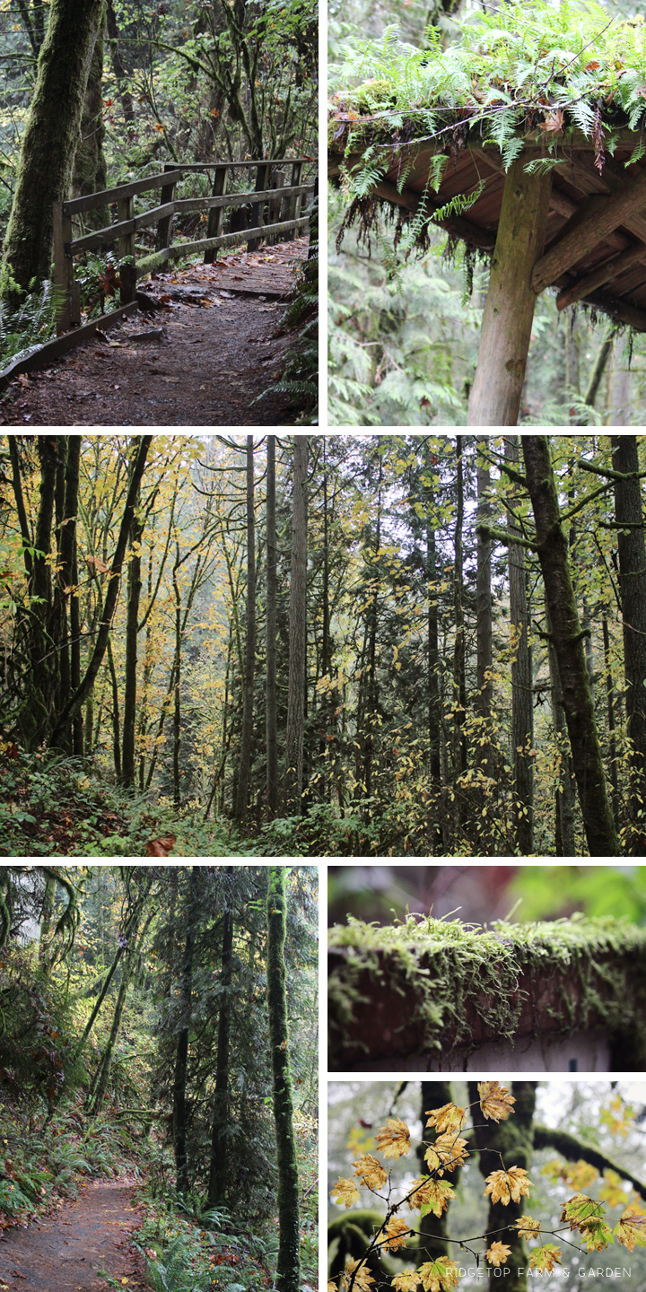 Ridgetop Farm and Garden | 31 Days in Oregon | Audubon Society | Portland