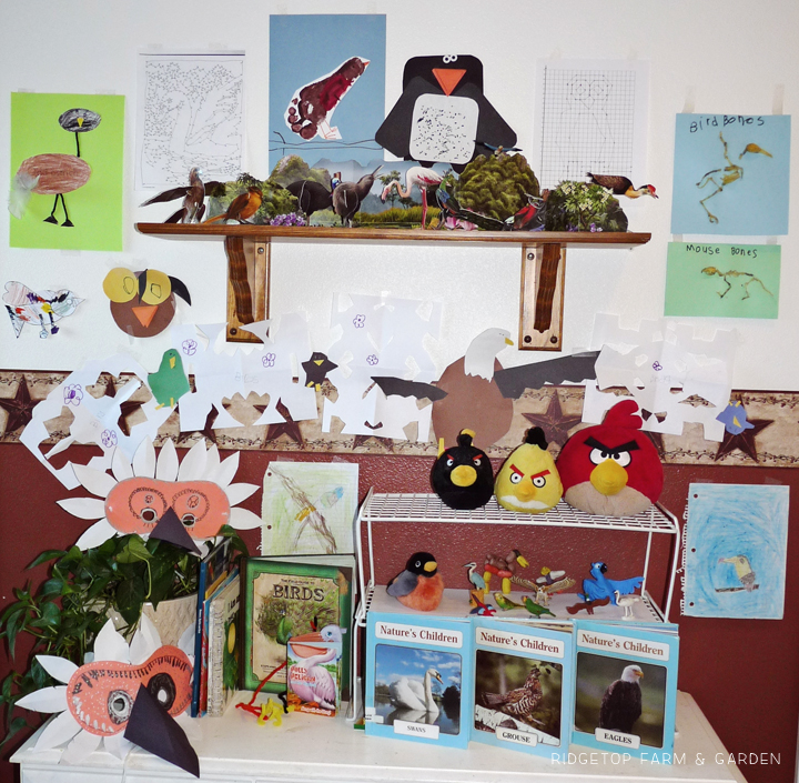 Ridgetop Farm and Garden | Home School | Animal Studies | Bird Display