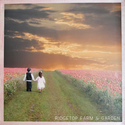 Ridgetop Farm and Garden | Photos on Canvas | How To | DIY