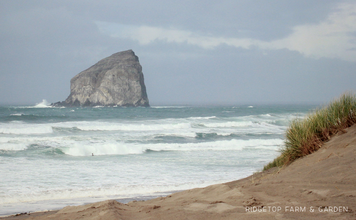 Ridgetop Farm and Garden | 31 Days in Oregon | Cape Kiwanda | Pacific City